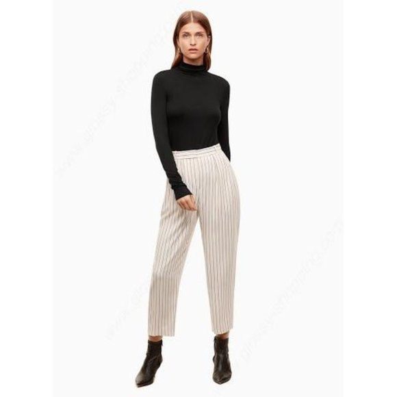 Aritzia Tops - Aritzia Babaton | Larry Turtleneck in Black